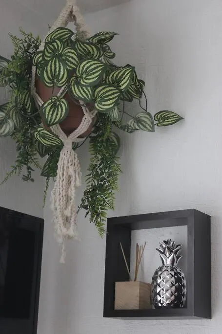 Апартаменты Departamento Tropical En Плая-дель-Кармен 0*,  Мексика